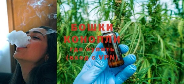 бутират Гусев