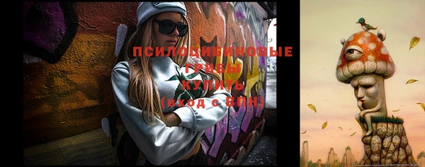 COCAINE Гусиноозёрск