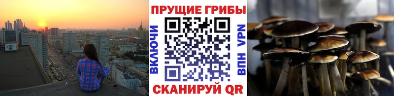 Галлюциногенные грибы ЛСД  купить закладку  Батайск 